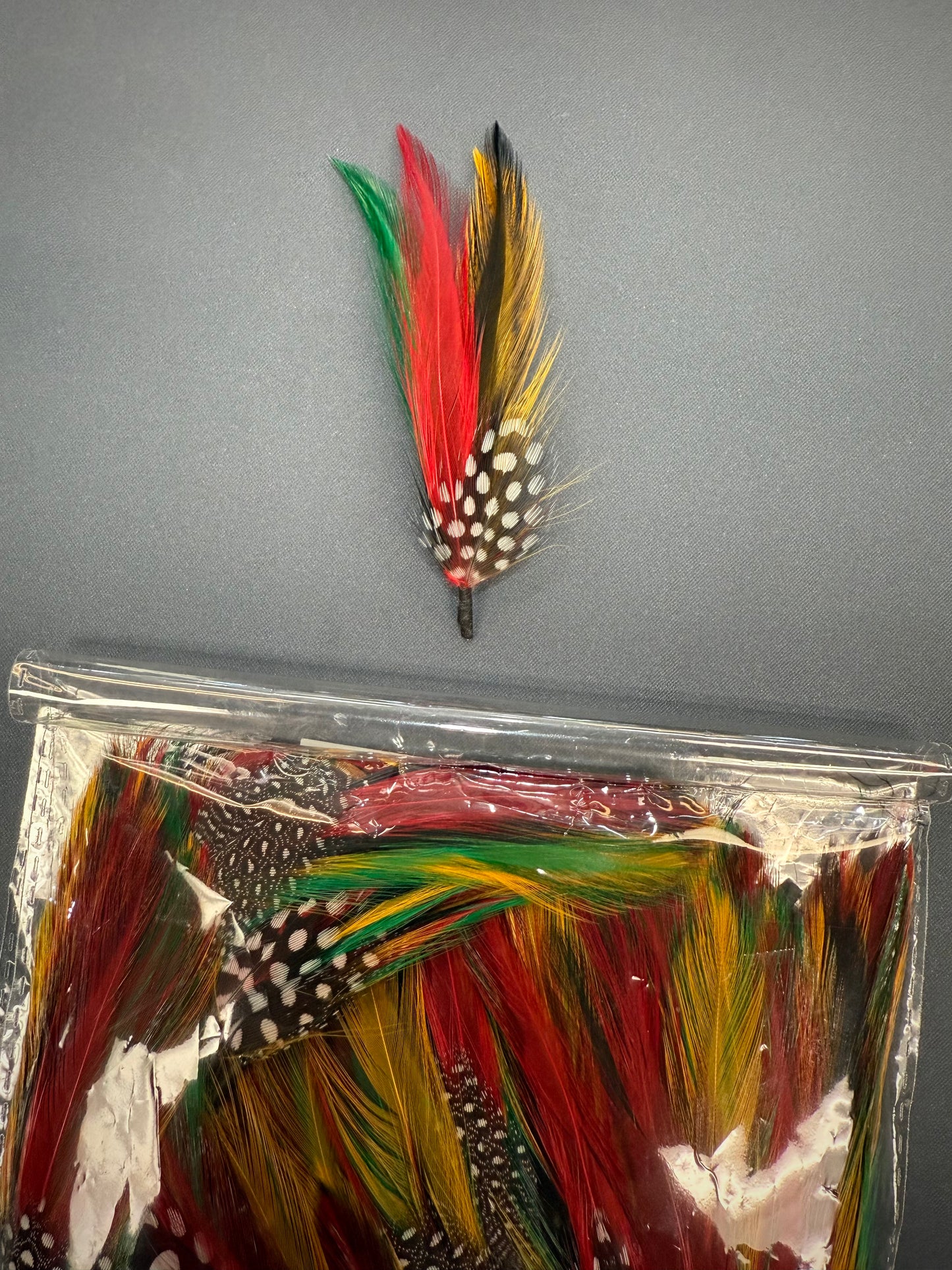 2 Pluma/Feather, Stetson Style