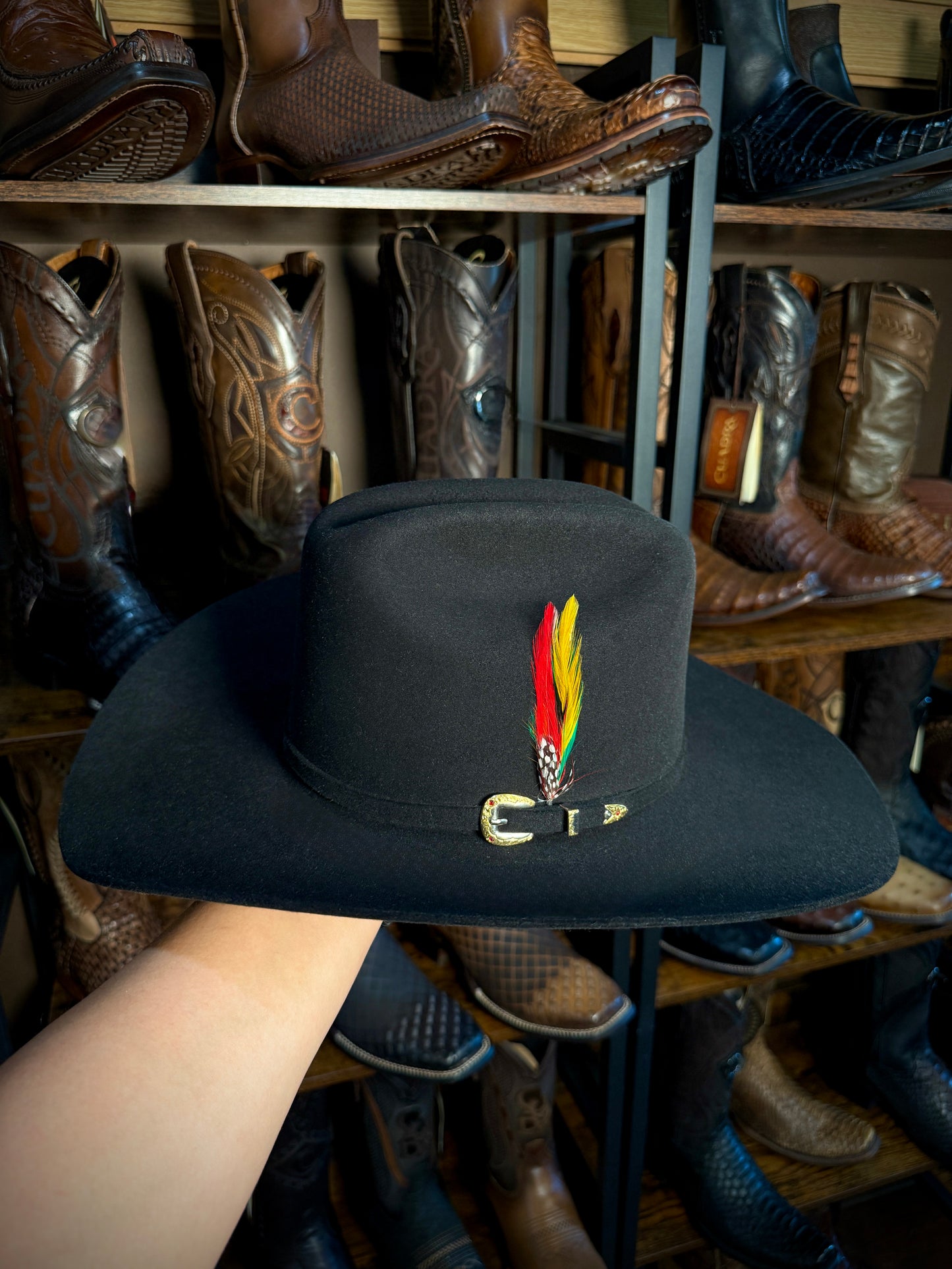 2 Pluma/Feather, Stetson Style