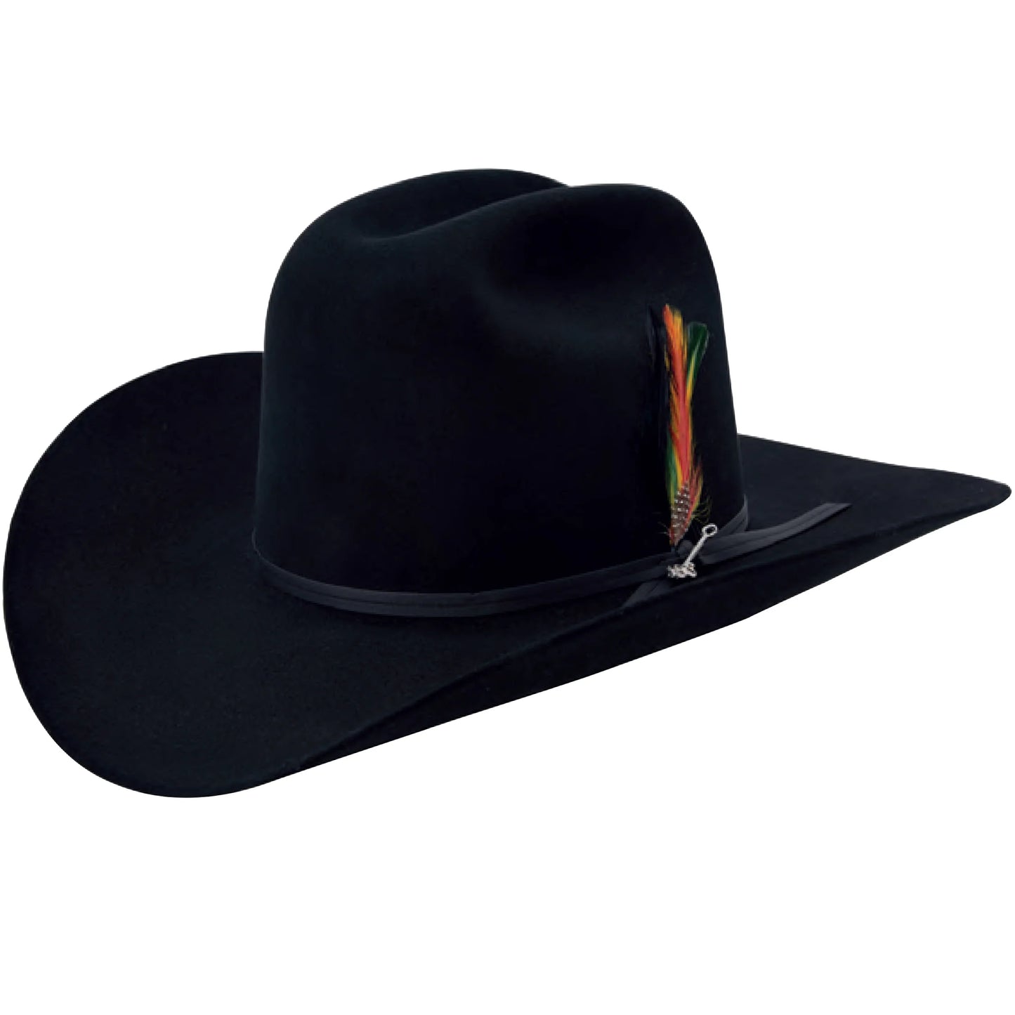 2 Pluma/Feather, Stetson Style